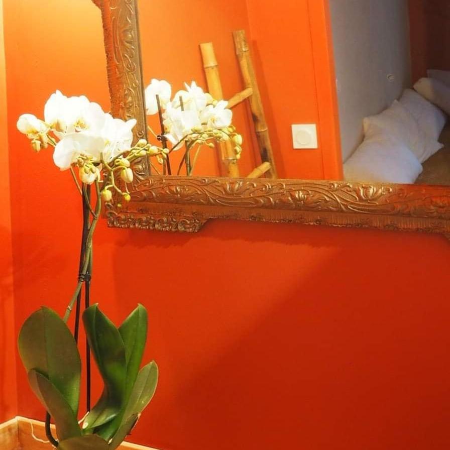 La Terrasse Vigneronne Bed & Breakfast Fitou Eksteriør bilde